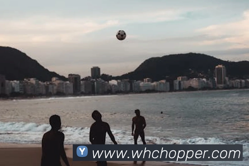 8868体育(中国)官方网站 - 登录入口平台生态图